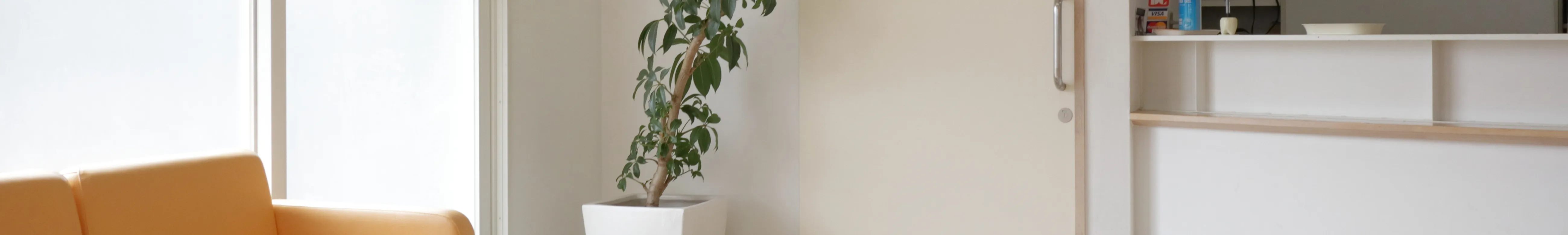 お知らせの画像